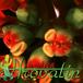 Euphorbia pulcherrima flower 1005