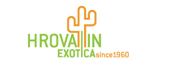 Hrovatin exotica - eksotične rastline