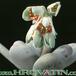 Pachyphytum oviferum flower 1075