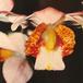 Phaius species flower phaius sp k