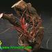 Tillandsia bulbosa 2832