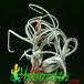 Tillandsia caput medusae 1809